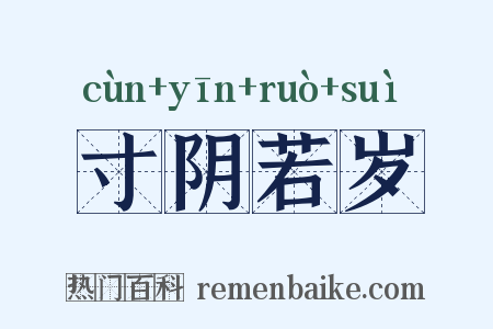 寸阴若岁是什么意思的图片